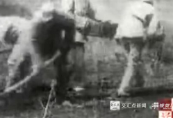 南泥湾电影,战火中的希望田野