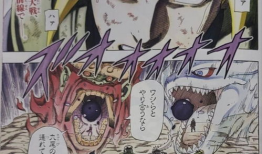 火影忍者禁漫画,禁忌之画，揭秘忍界暗流涌动的秘密