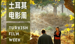 土耳其电影,探寻东方韵味与西方魅力的交融