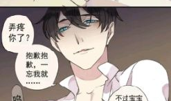 动漫和漫画的区别,艺术形式的异同解析