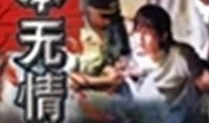 法本无情电影完整版,正义与复仇的终极对决