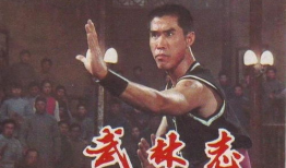 武林志电影,江湖传奇，剑影刀光
